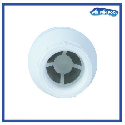 Spring Inline Check 2"